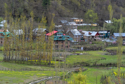 Scenic view of agricultural field by trees and houses