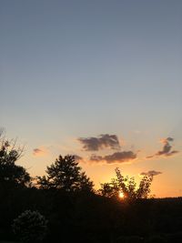 Low angle view of silhouette trees against sky during sunset