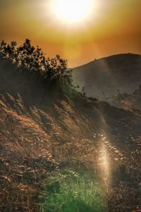 Scenic view of landscape against sky during sunset