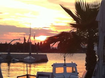 Palm trees at sunset