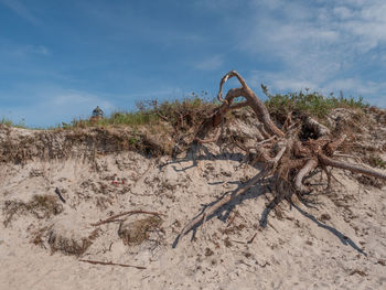 Darßer ort at the baltic sea in germany