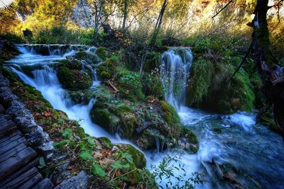 Scenic view of waterfall in forest