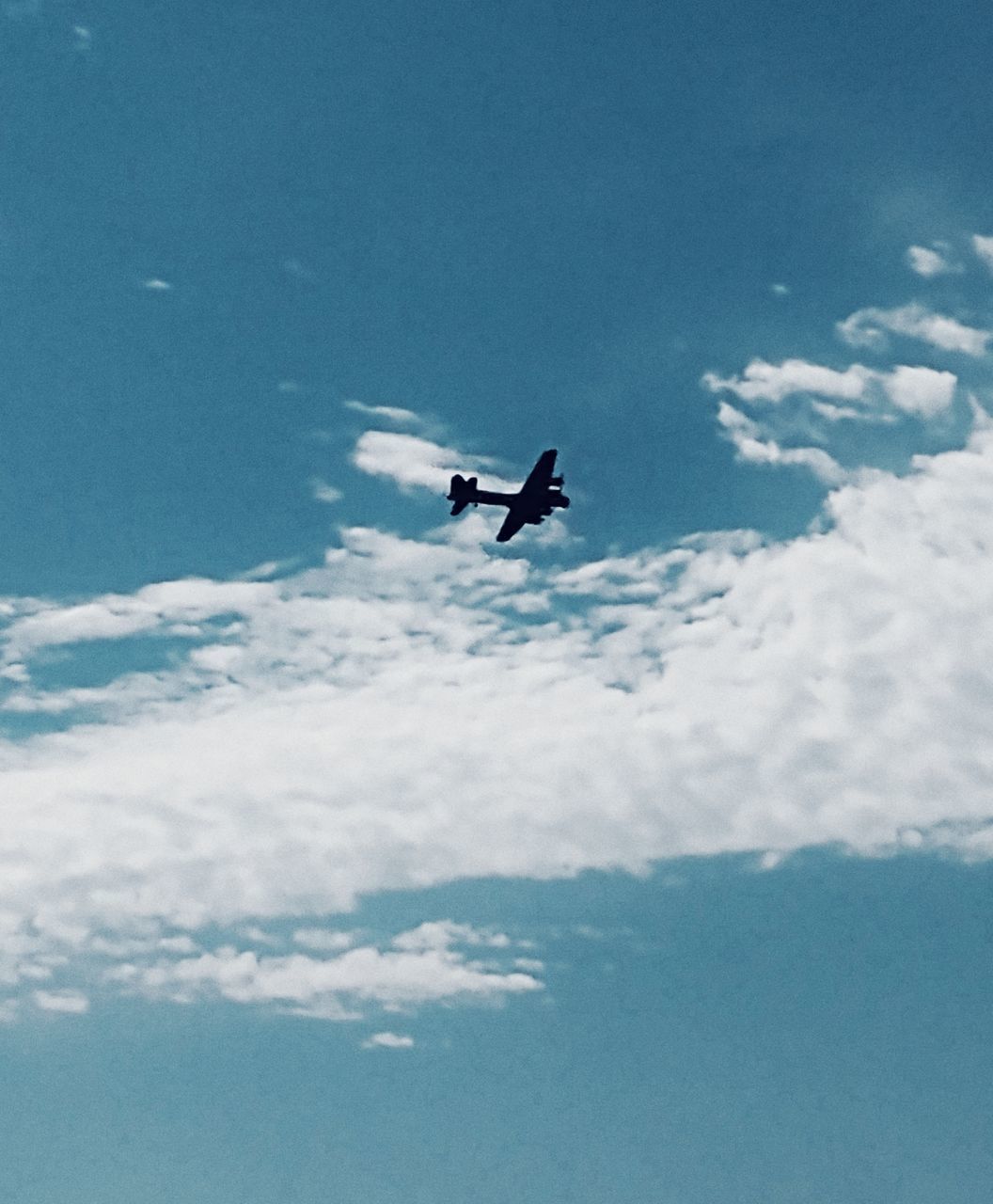 LOW ANGLE VIEW OF BIRD FLYING AGAINST SKY