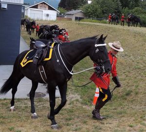 People riding horses on field