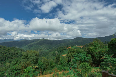 mountain