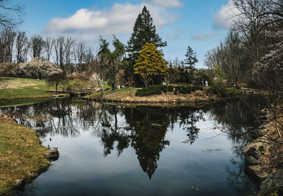 Reflection of trees in lake