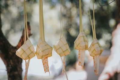 Close-up of ketupat hanging against blurred background