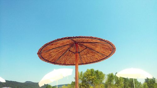 Low angle view of tree against clear blue sky