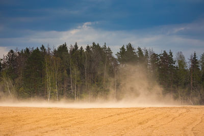 Panoramic view of trees on land against sky