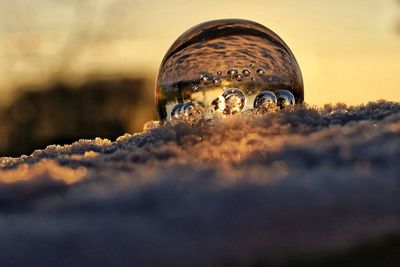 Close-up of bubble on field during winter