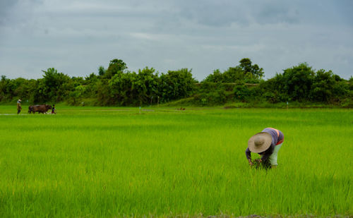 View of person on field against sky