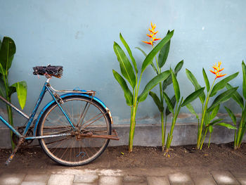 Bicycle parked by plants on footpath against wall