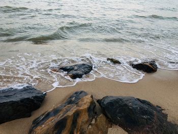 High angle view of rocks on beach