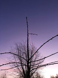 Low angle view of bare trees against clear sky