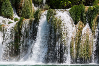 Scenic view of waterfall in forest