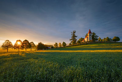 Scenic view of field against sky during sunset