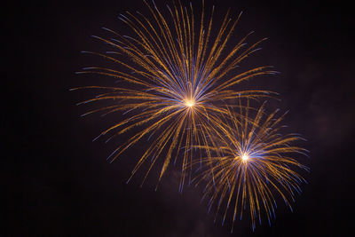 Low angle view of firework display in sky at night