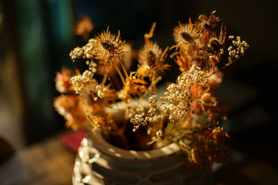 Backlited flowers in vase on the table in sunset time