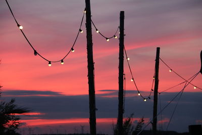 Close-up of silhouette tree against sky at sunset