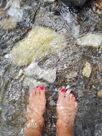 Low section of woman standing in water