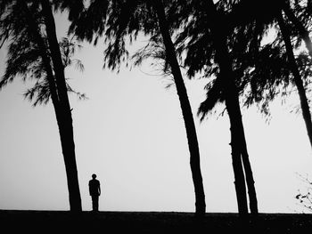 Silhouette people standing on beach against clear sky