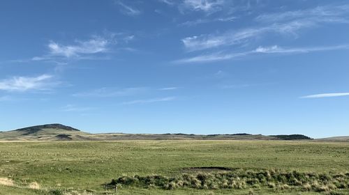 Scenic view of field against sky