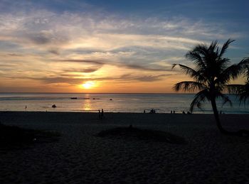 Silhouette of palm trees on beach at sunset