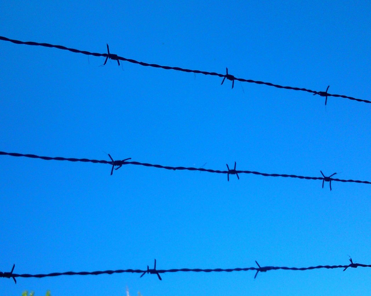 clear sky, low angle view, blue, power line, barbed wire, cable, power supply, wire, electricity pylon, electricity, fence, connection, safety, protection, copy space, fuel and power generation, security, outdoors, day, no people