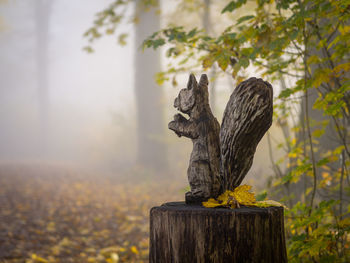 View of statue on tree stump