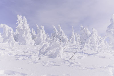 Snow covered land against sky