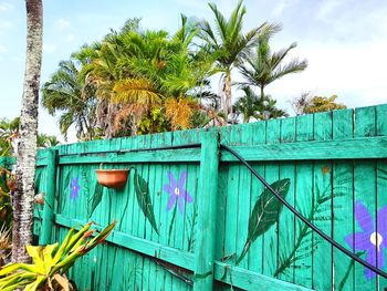 Low angle view of palm tree against building