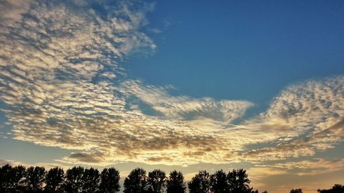 Low angle view of silhouette trees against sky