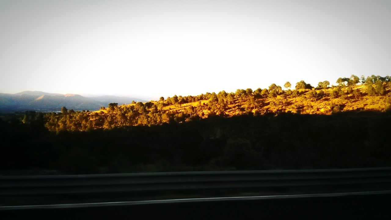 VIEW OF TREES IN FRONT OF MOUNTAINS AGAINST CLEAR SKY