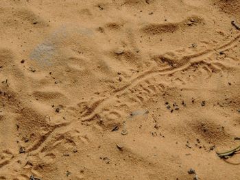 High angle view of text on sand