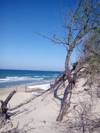 Scenic view of beach against clear blue sky