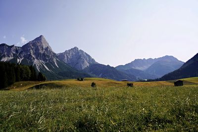 Scenic view of field and mountains against clear sky