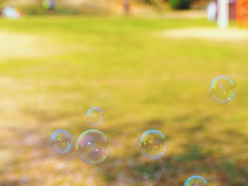 Close-up of bubbles