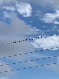 Low angle view of birds perching on cable