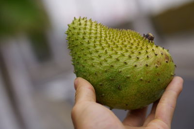 Close-up of hand holding fruit