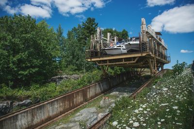 Reflection of trees in water