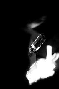 Close-up of hand holding leaf