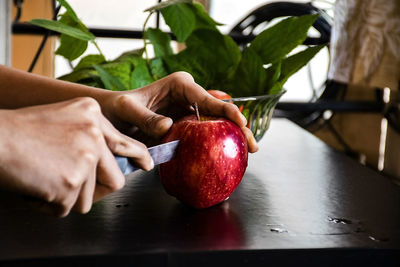 Midsection of woman holding apple on table