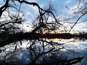 Bare tree by lake against sky
