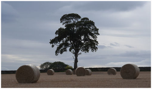 Hay bales on field against sky