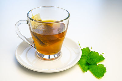 Nettle infusion in transparent cup, a sachet in water, a white saucer  and nettle leaves. 