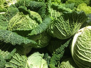 Full frame shot of vegetables