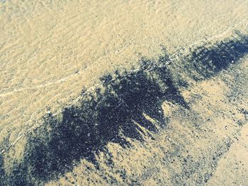 High angle view of snow covered land