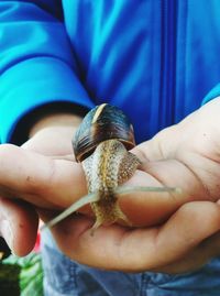 Close-up of hand holding snail