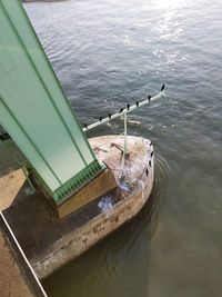 High angle view of birds by sea