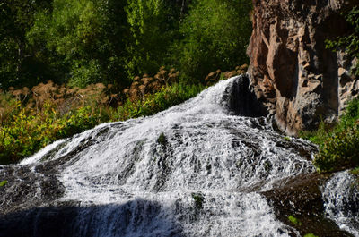 Stream flowing through rocks in forest